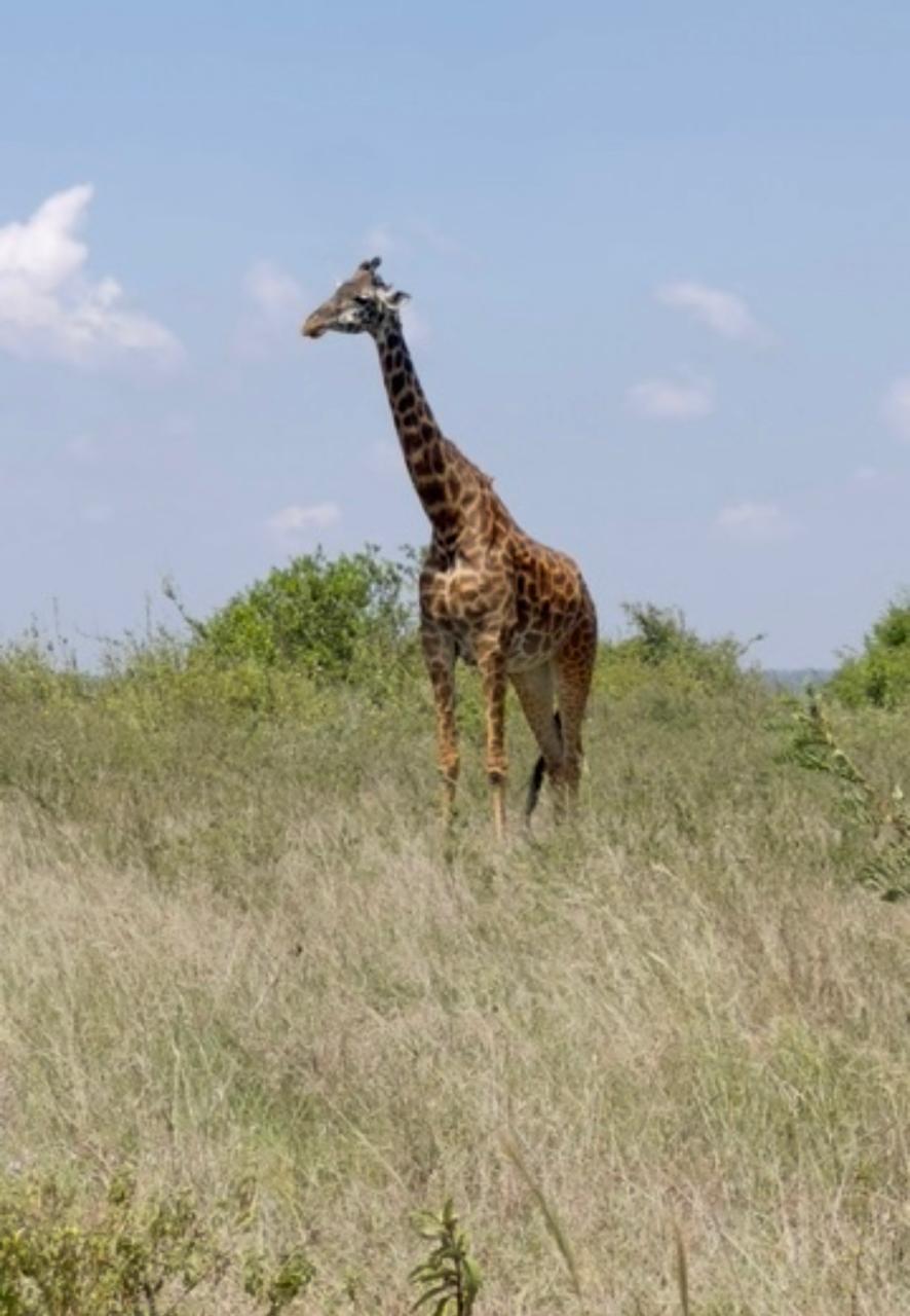 Central Kenya & Mt Kenya Climbing